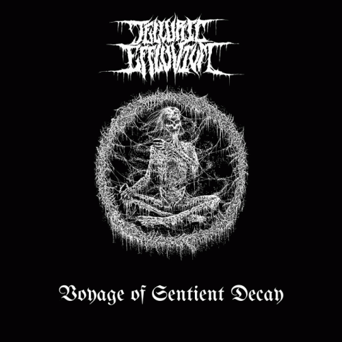 Voyage of Sentient Decay
